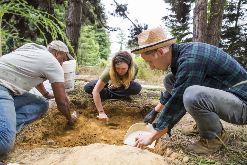 Three people doing research by digging in the dirt in a redwood forest