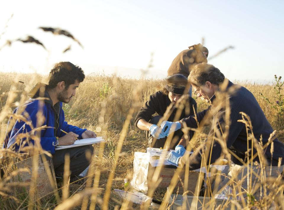 students and professor sitting in a field doing research